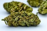 Swazi Gold Outdoor p/g