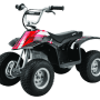 Razor Dirt Quad - Black