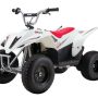Razor Dirt Quad 500