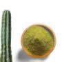 10g Mescaline Cactus Powder