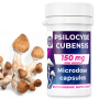 150mg P. cubensis Mushroom Microdose Capsules (x30) - NMSA