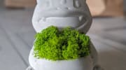 Bulbasaur Pokemon Vase