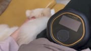 英國 CELLER8® 脈衝電磁場 PEMF 理療床墊套裝（Made in UK）