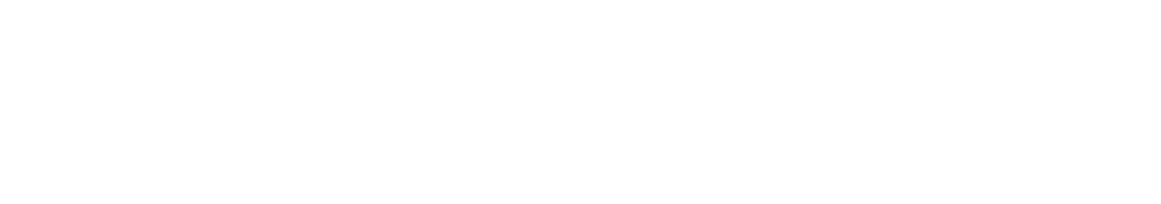 fractionalplaybook Guide