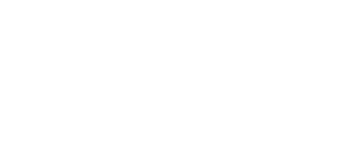pocketguide Getting Started