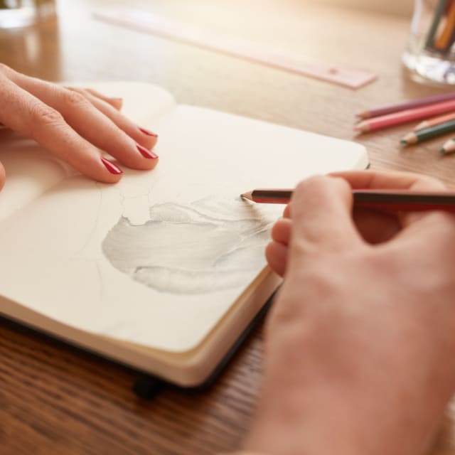 Dynamics of Drawing