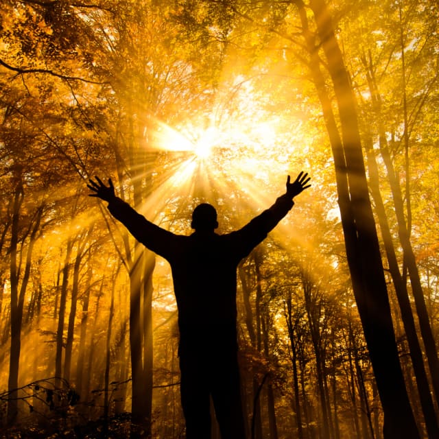 Spiritual Awakening & Purpose.