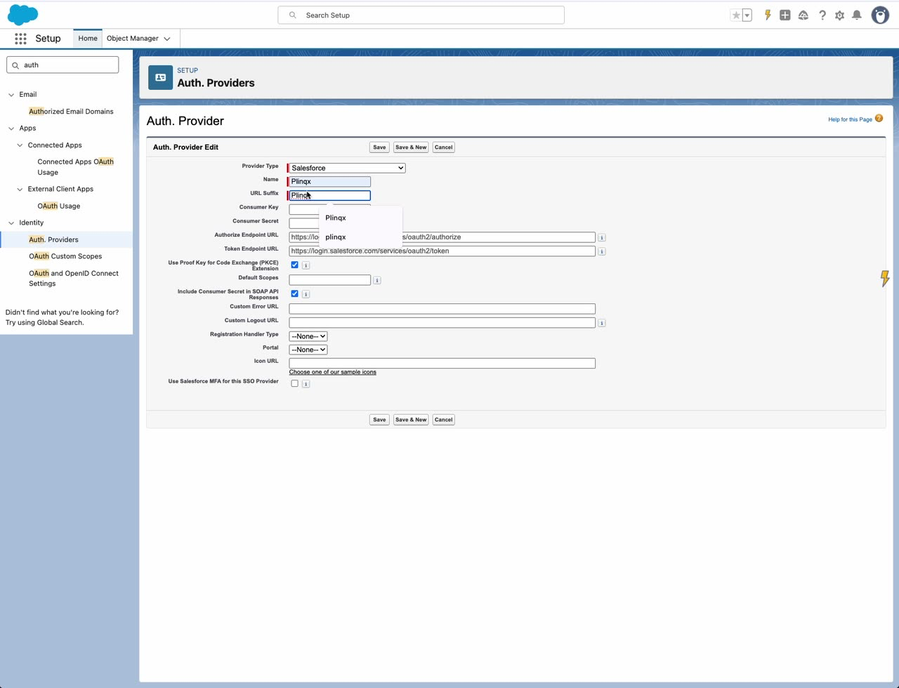 New Authentication Provider