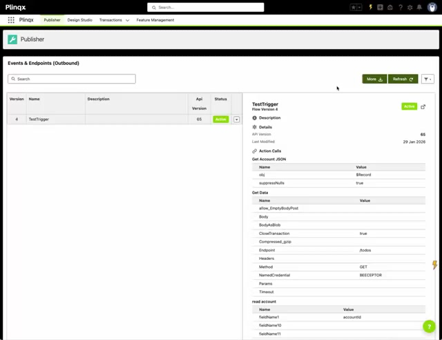 Outbound endpoint details showing NamedCredential