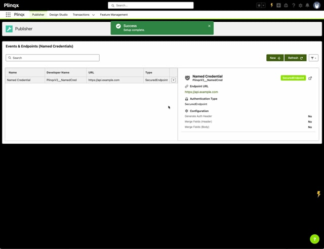 Named Credential created successfully