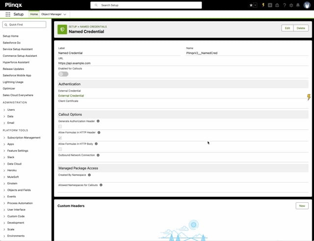 Named Credential record in Salesforce Setup