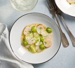 Pilgrimsmussla med dillmajonnäs och ingefärspicklad gurka
