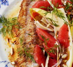 Pannstekt abborre med blodapelsin- och endivesallad