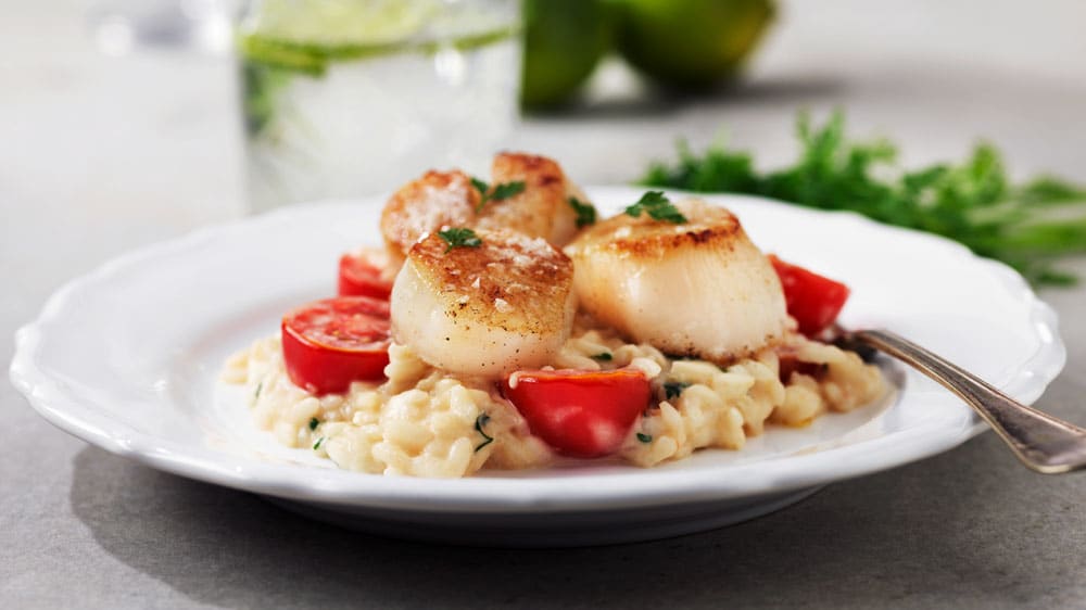 Halstrade pilgrimsmusslor med citron-och tomatrisotto