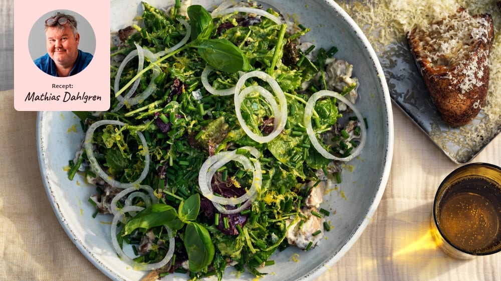 Sallad på färdig kyckling med avokadodressing