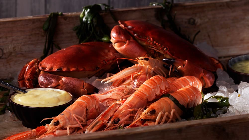 Havskräftor med aioli