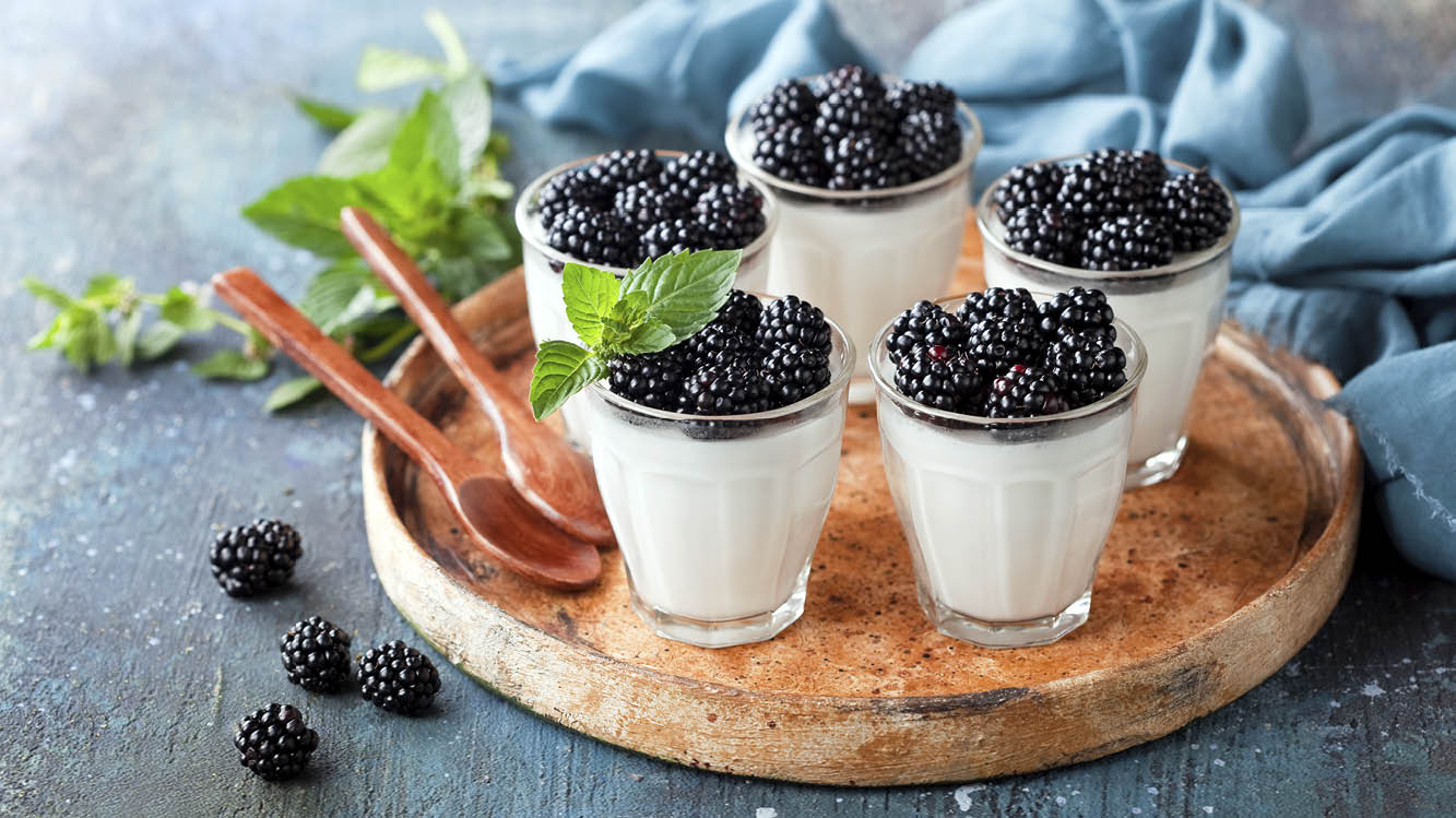 Pannacotta – grundrecept