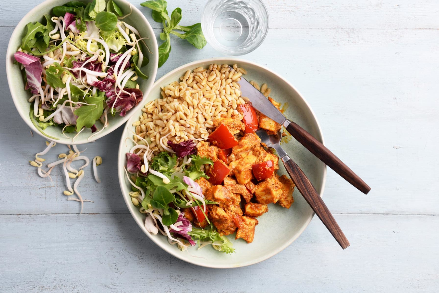 Vegetarisk tikka masala med paneerost