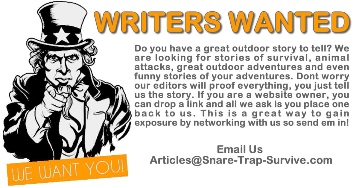 Career opportunities for writers picture