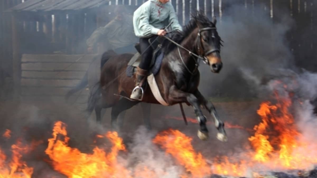 Oslavy Světového dne hemofilie s mimořádným úspěchem
