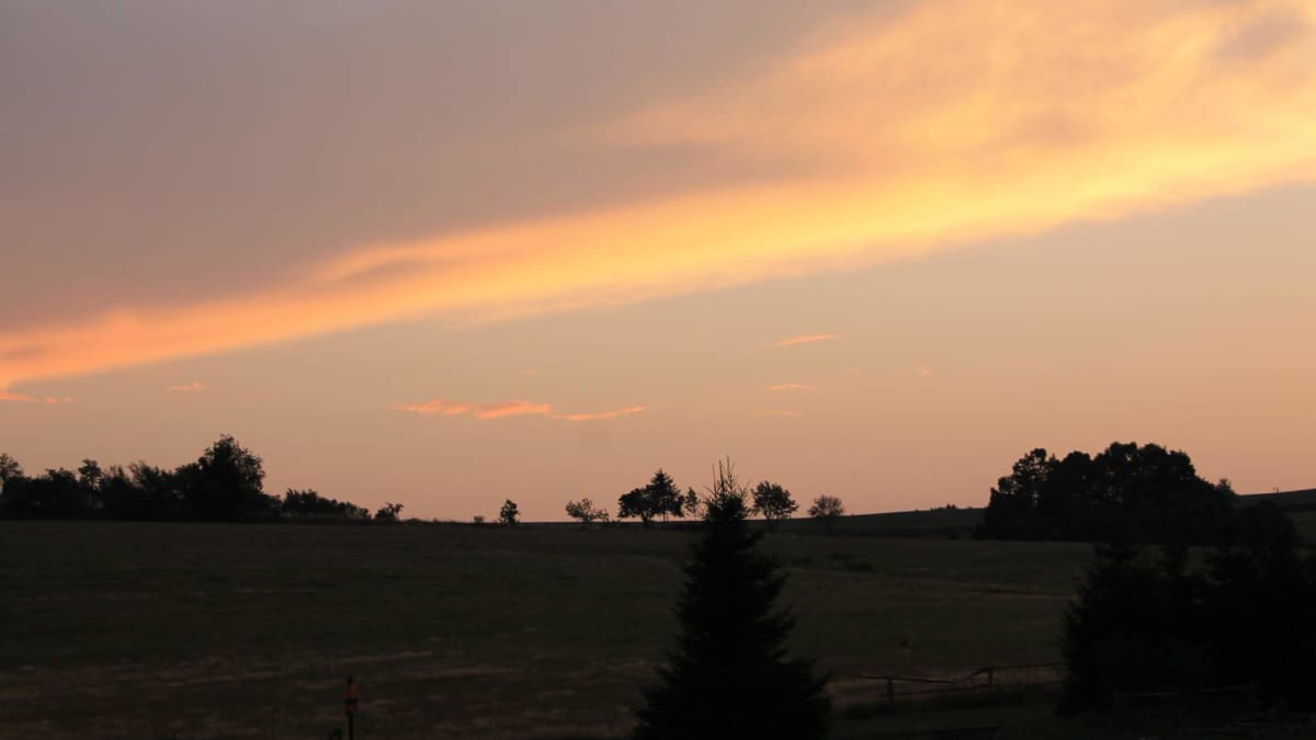 Komplikace letního hemofilického tábora 2019