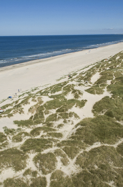 flygtninge Misforstå bord Ferienhaus in Henne Strand und Umgebung an der Nordseeküste