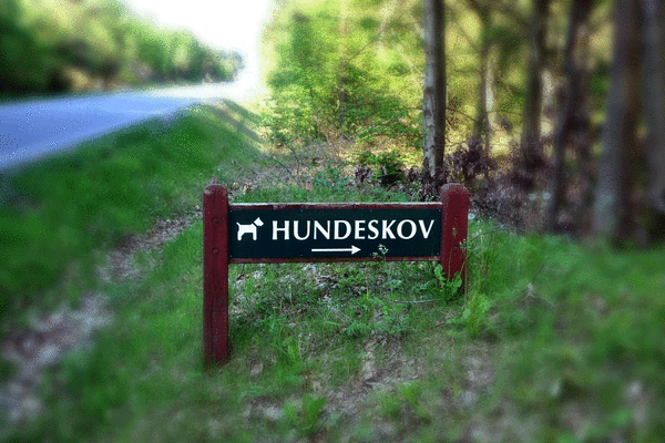 Hundeskov ved Husby