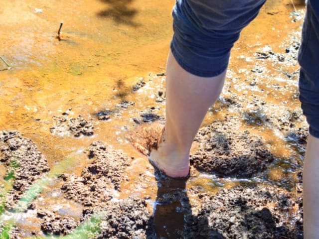 Vesterhavets Barfußpark