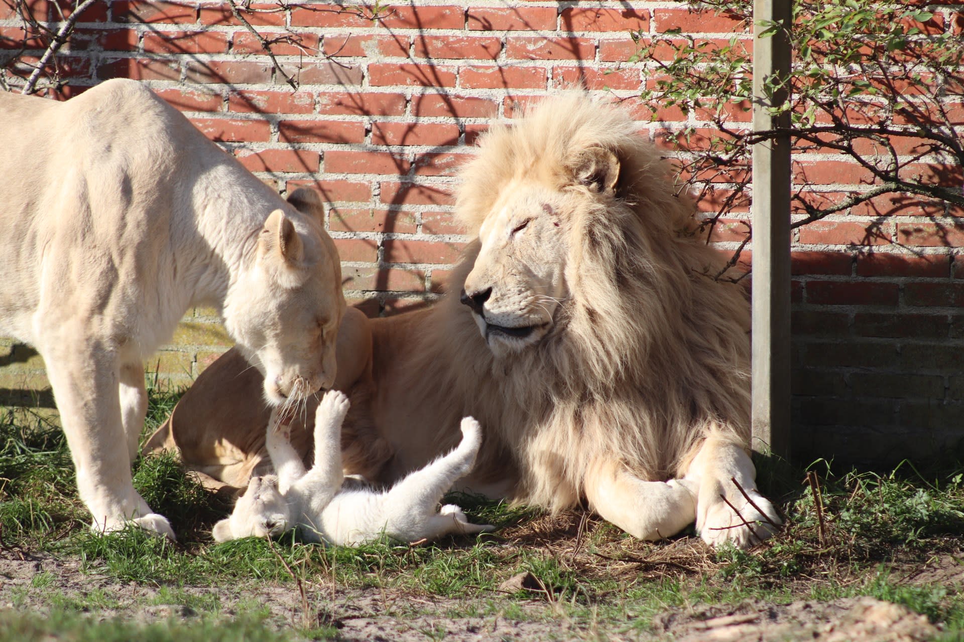 Blåvand Zoo