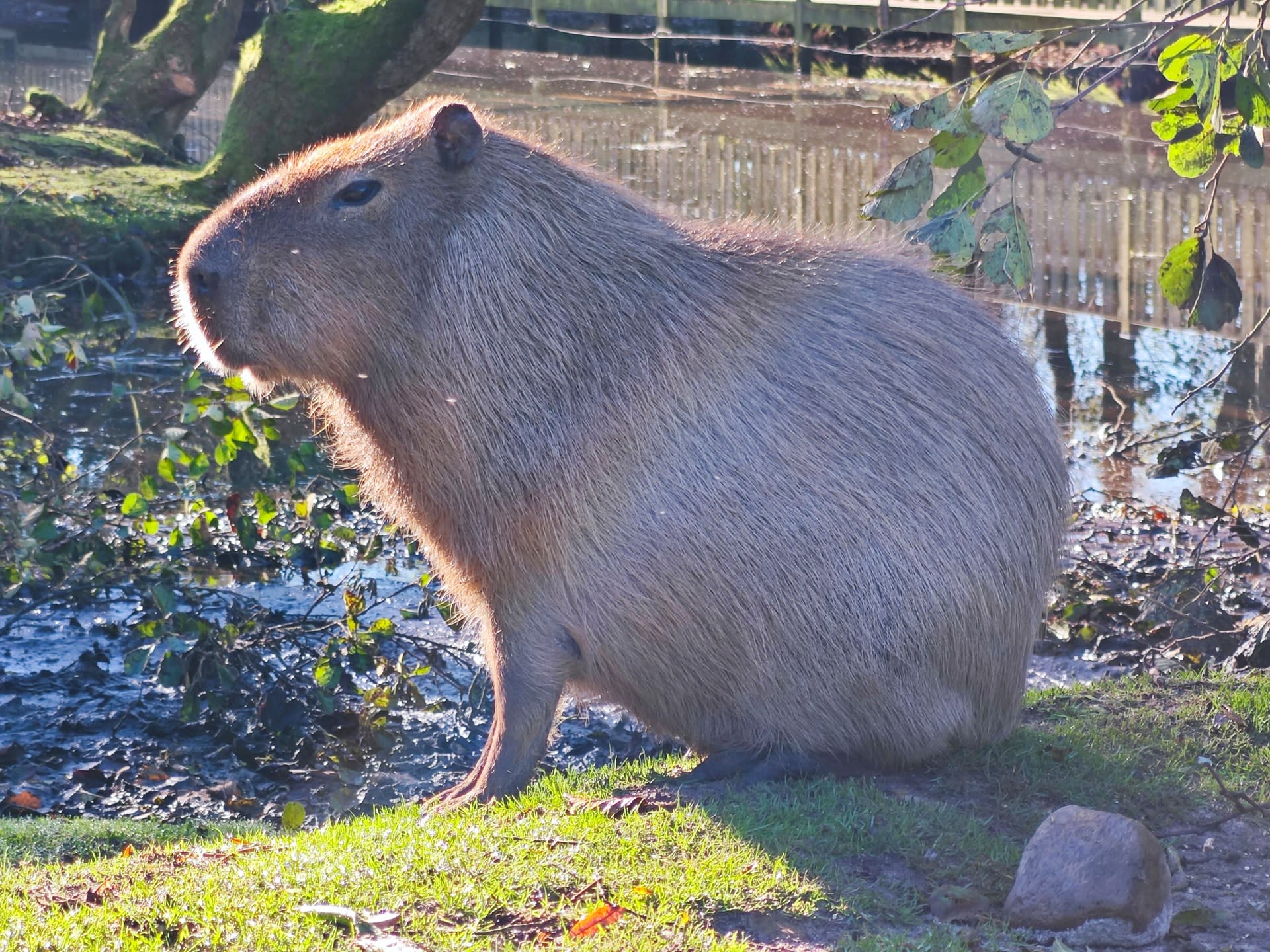 Gladzoo
