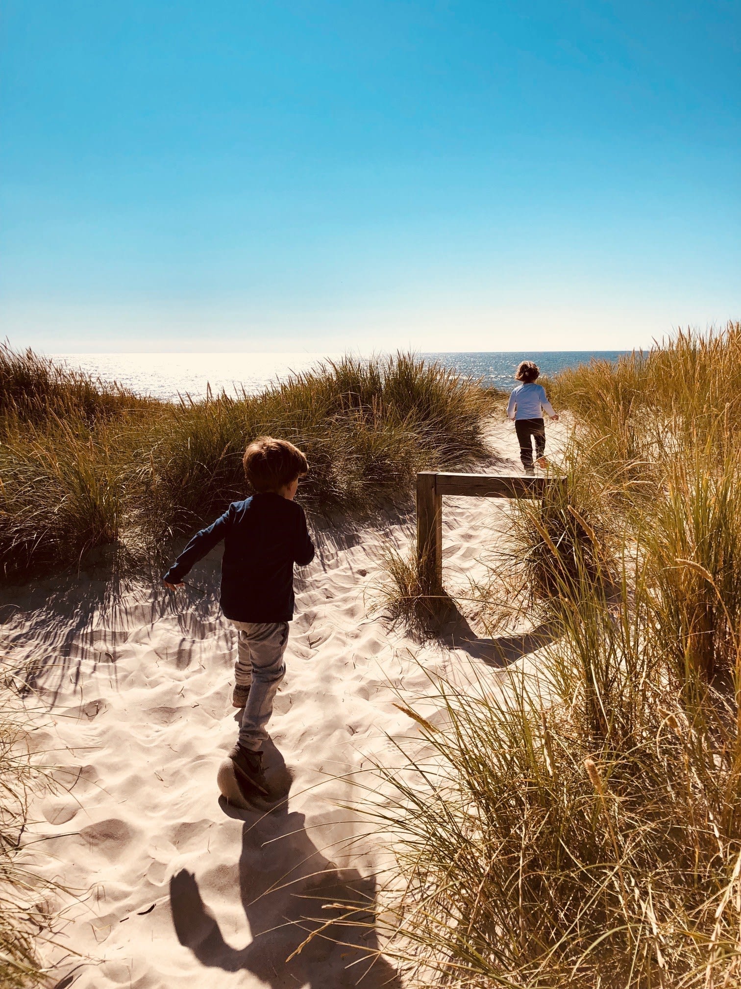 Familien på skattejagt ved Henne Strand