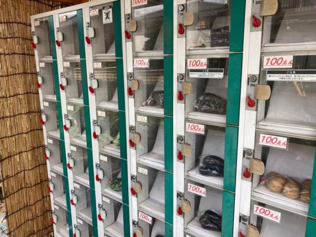 肥沼　芳雄-thumb-0