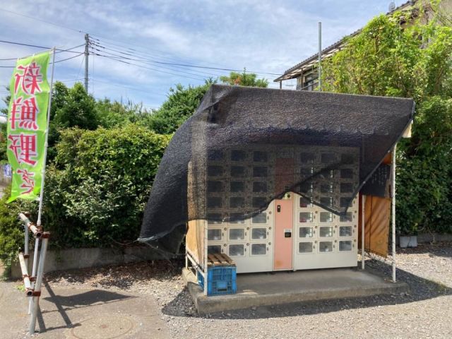 角田農園-thumb-0