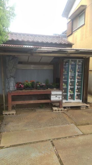 大木園芸-thumb-1