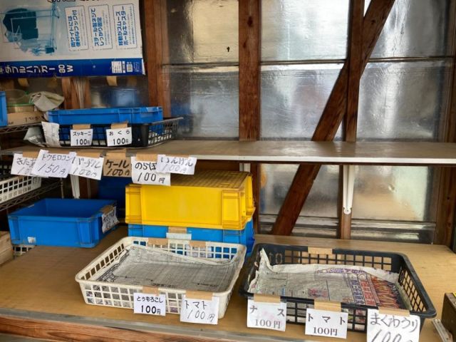 志村ファーム-thumb-1