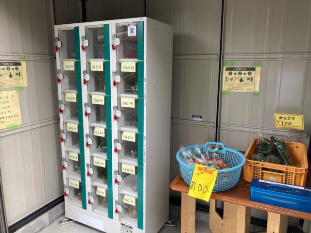 志村いも園-thumb-0