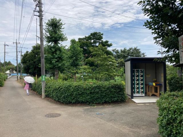 志村いも園-thumb-2