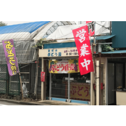 東村山ぶどう園