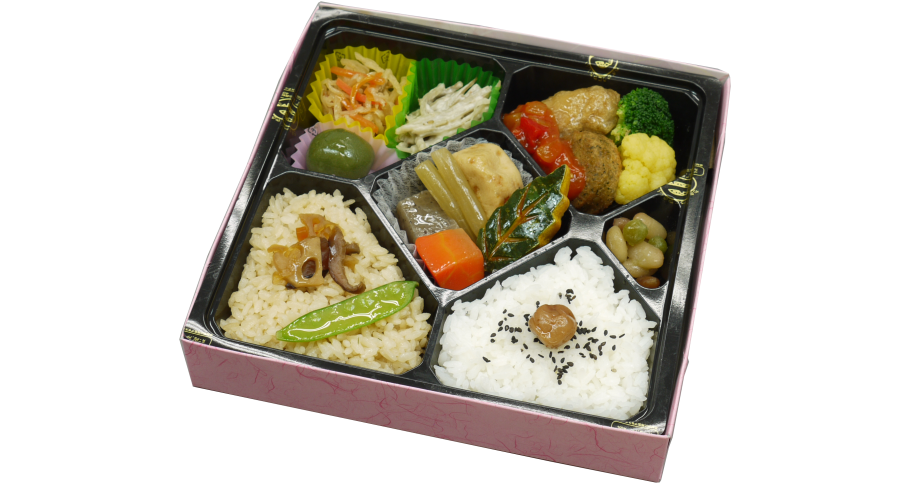 健菜弁当「けんさい」