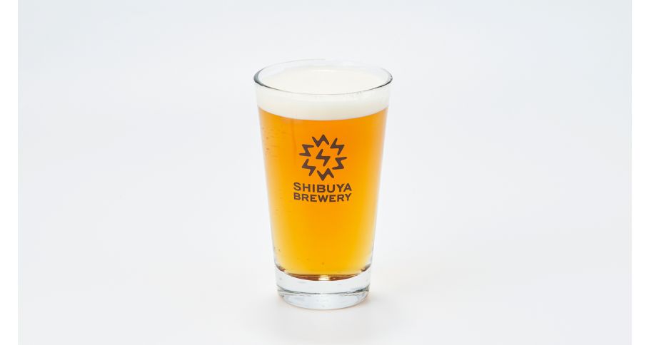 Today's Craft Beer Ⅱ (420ml) 