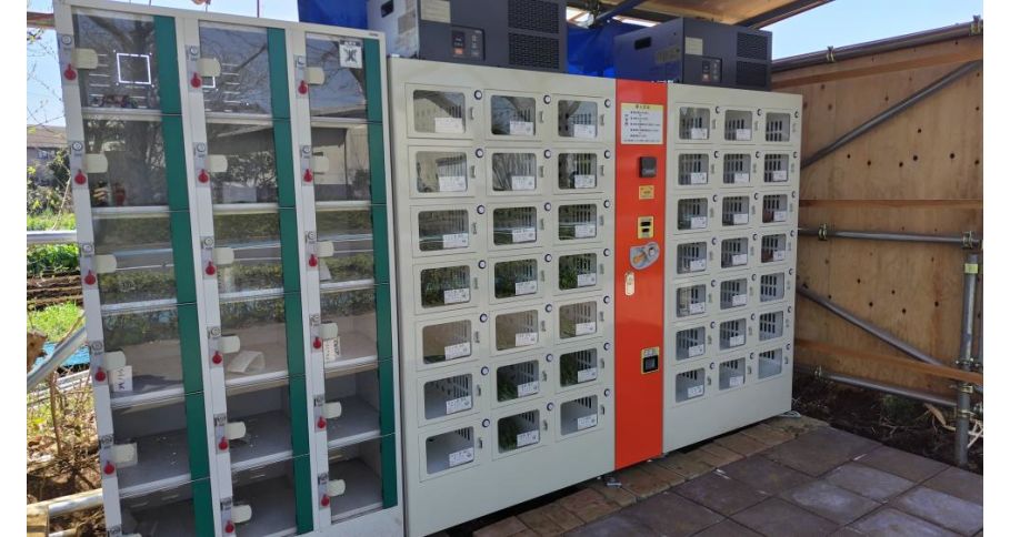 くめがわ良心市