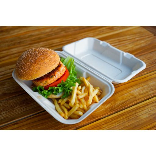 サーモンバーガー-0