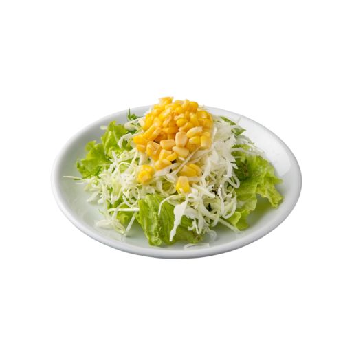 新鮮野菜のグリーンサラダ-0