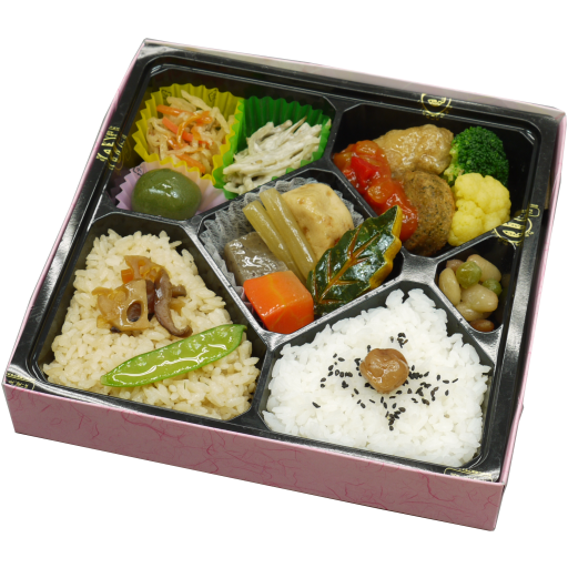 健菜弁当「けんさい」-0