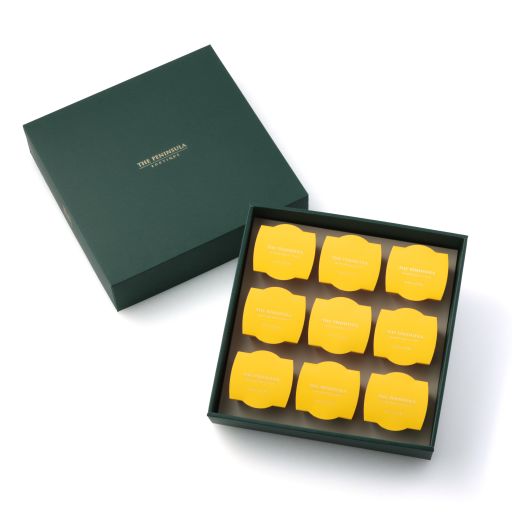 オリジナルマンゴープリン 詰め合わせ 9個入り-0