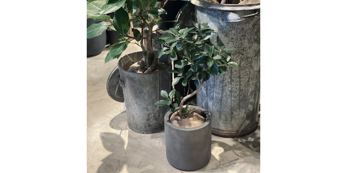 garage TOKYO | 観葉植物 鉢セット | NEW PORT | ニューポート garage TOKYO | 観葉植物 鉢セット | NEW PORT | ニューポート