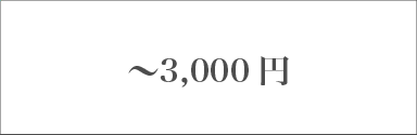 価格帯／～3,000円