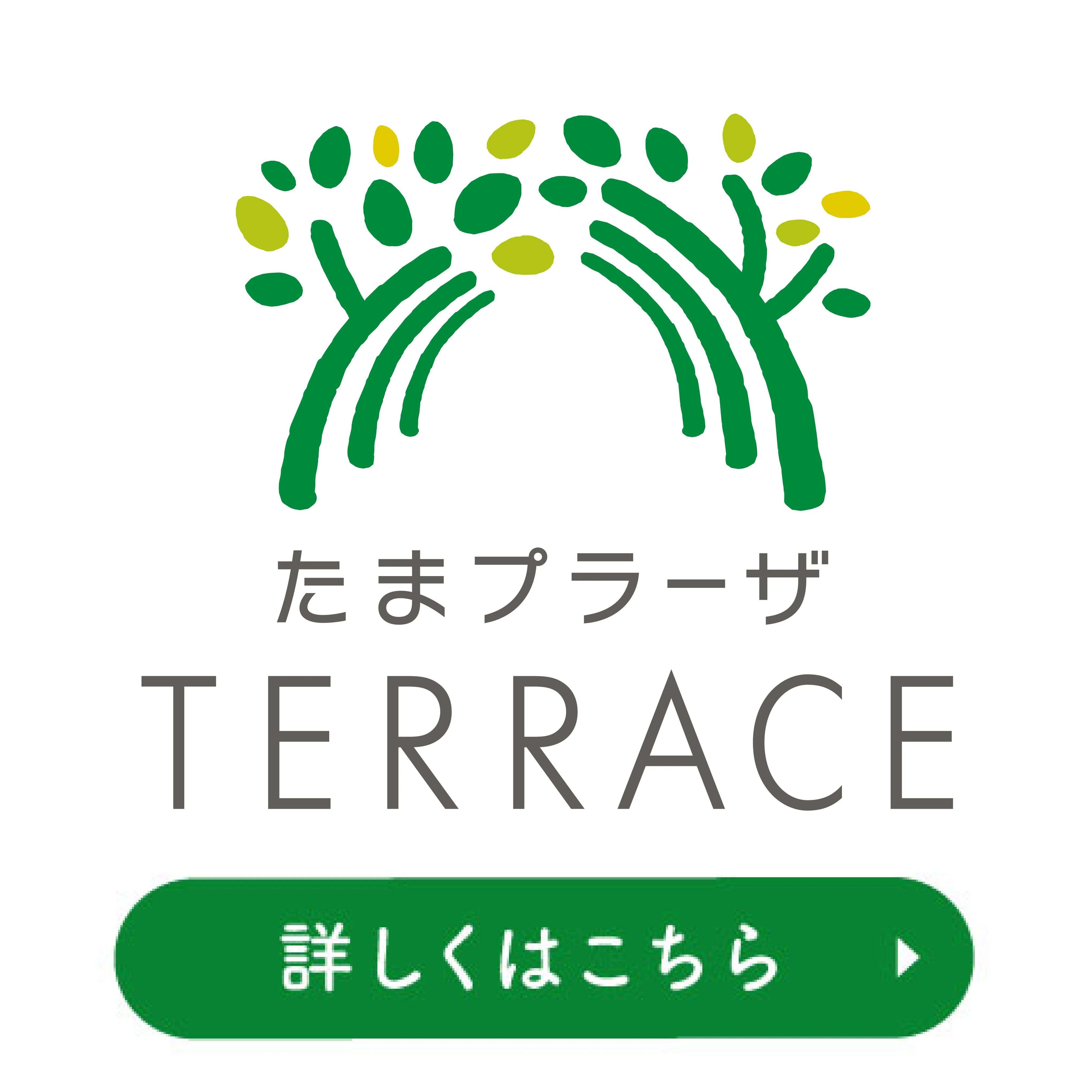 たまプラーザTERRACE
