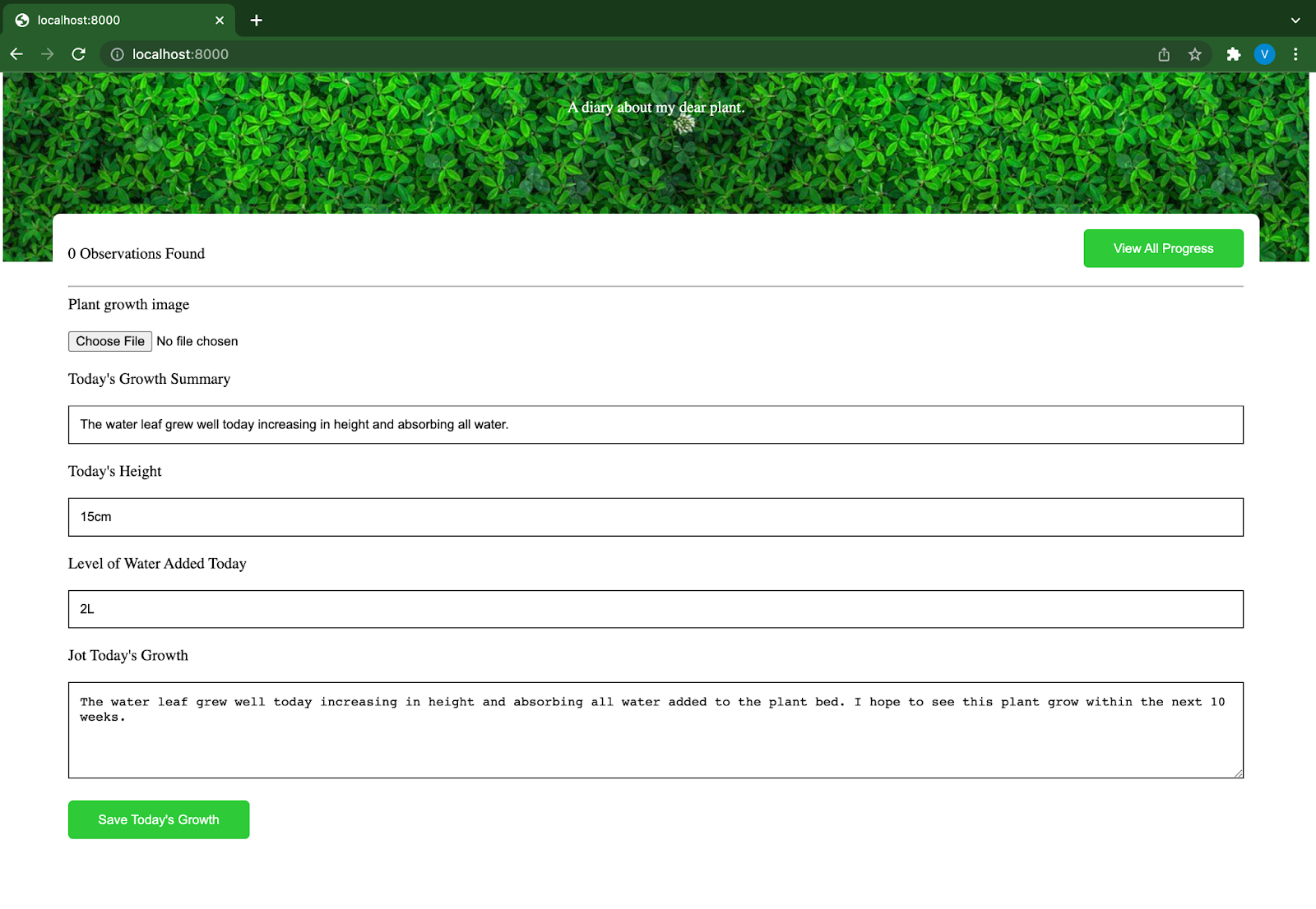Providing observation details in input fields
