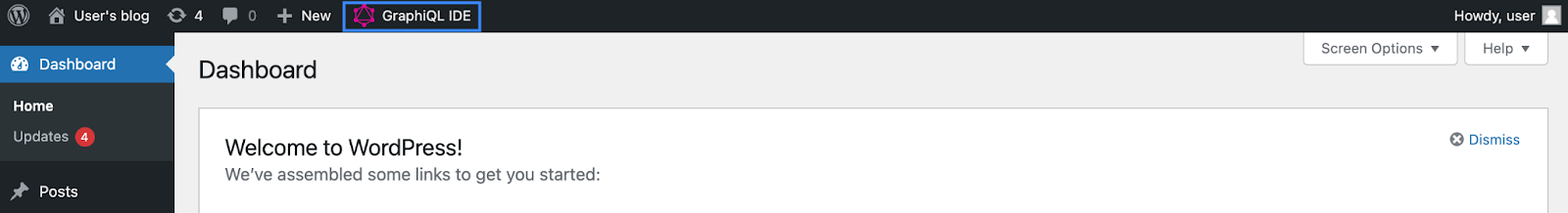 Viewing the Graphiql editor for the wordpress application